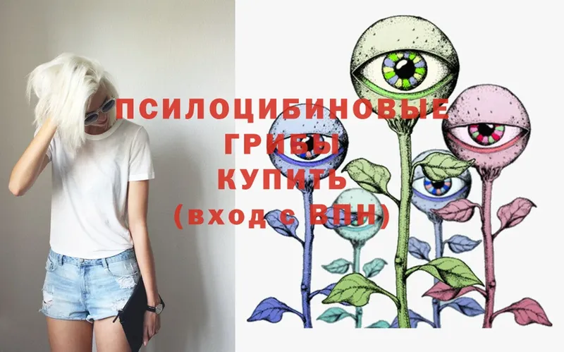 Галлюциногенные грибы Psilocybe  купить  сайты  Миньяр 